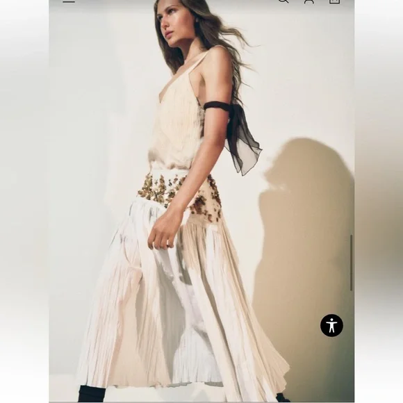 Zara $129 Embellished Jeweled Midi Skirt ZW Collection Size Small NWT - Picture 6 of 11